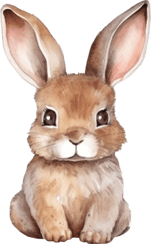 Rabbit Watercolor Illustration. png