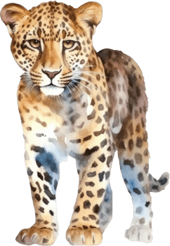 Leopard Watercolor Illustration. png