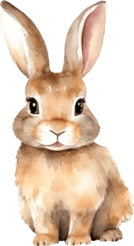 Rabbit Watercolor Illustration. png