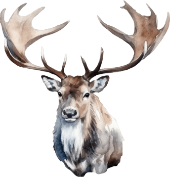 Caribou Deer Watercolor Illustration. png