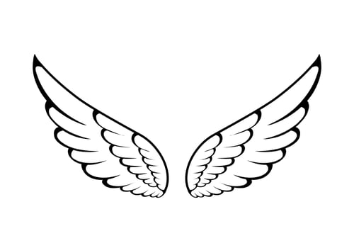 vector angel wings line art style