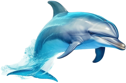 Dolphin with . png