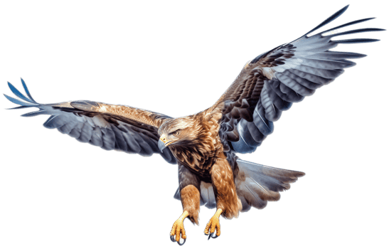 Eagle with . png