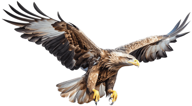 Eagle with . png