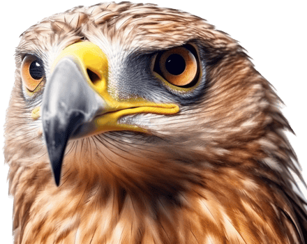 Eagle with . png