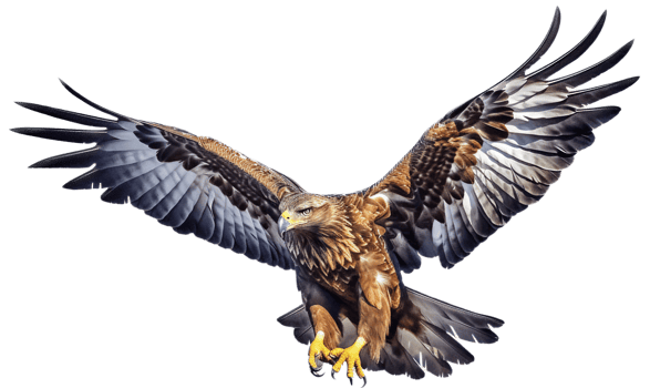 Eagle with . png