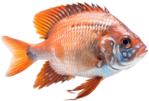 Fish png with AI generated