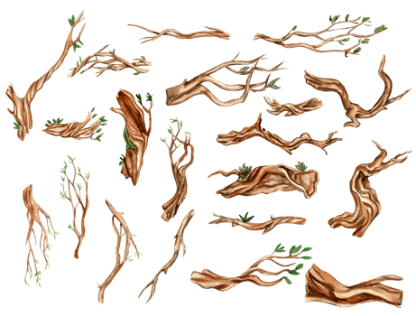 Parts of tree with leaves, branches . Watercolor hand drawn illustration . png