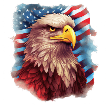 eagle with american flag . png