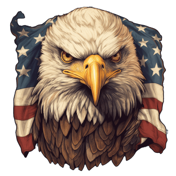 eagle with american flag . png