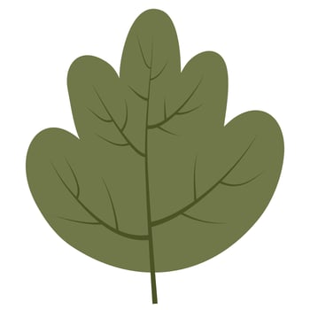 autumn leaf green vector