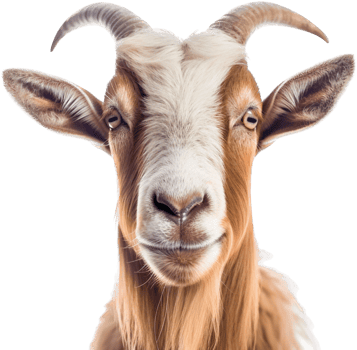 Goat with . png