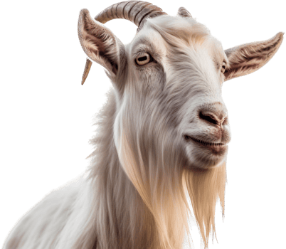 Goat with . png