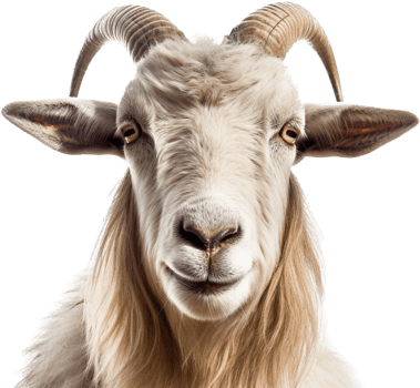 Goat with . png