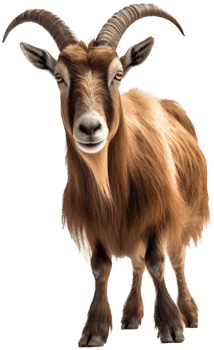 Goat with . png