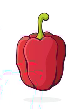 Cartoon illustration of red bell pepper or paprika with a stem vector