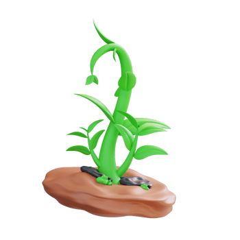 3d illustration of plant growth png