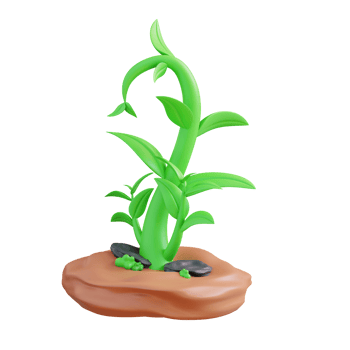 3d illustration of plant growth png