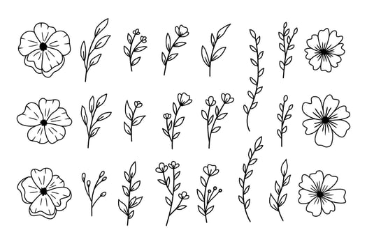 A collection of hand drawn plants leaves and flowers decorative floral elements vector