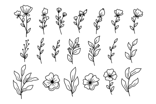 A collection of hand drawn plants leaves and flowers decorative floral elements vector