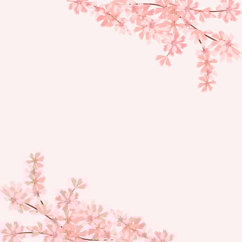 Cherry blossom flower background square social media template banner vector illustration. Cute Pink Floral background for spring summer with copy space.