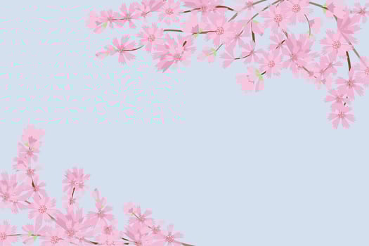 Cherry blossom flower background square social media template banner vector illustration. Cute Pink Floral background for spring summer with copy space.