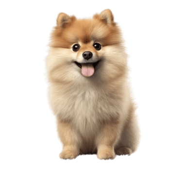 Illustration painting of cute dog isolated transparent background, Digital art, , png