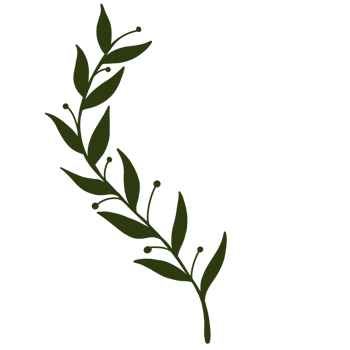 Flowers and leaves for decorating pictures, products, works, product billboards panne and many more png
