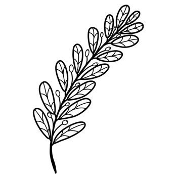 The black floral pattern goes beautifully with your photos and billboards The black floral pattern goes beautifully with your photos and billboards png