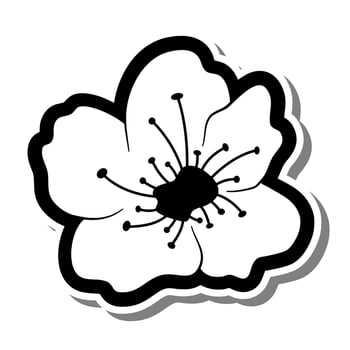 Doodle black line cherry blossom, sakura flower on white background. Vector illustration for decorate logo, wedding, greeting cards and any design.