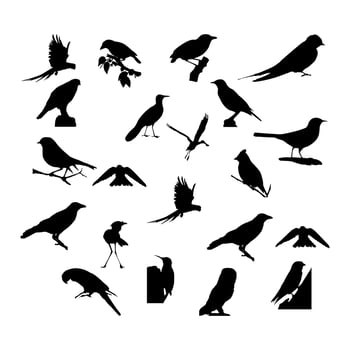 Collection of silhouettes of birds vector illustration.