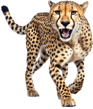 Cheetah with . png