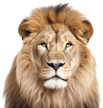 Lion png with AI generated