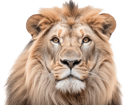 Lion png with AI generated