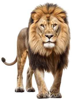Lion png with AI generated
