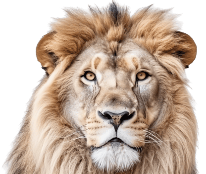 Lion png with AI generated