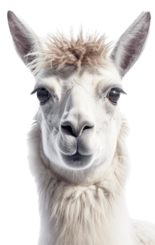 Llama png with AI generated