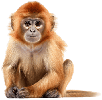 Monkey png with AI generated