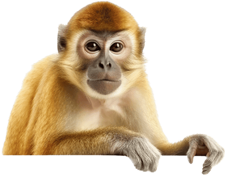 Monkey png with AI generated
