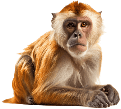Monkey png with AI generated