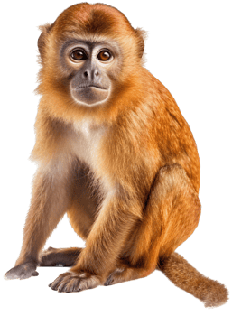 Monkey png with AI generated