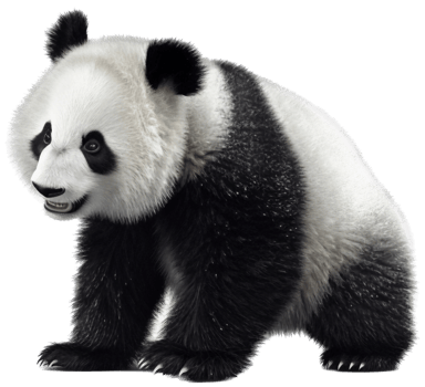 Panda with . png