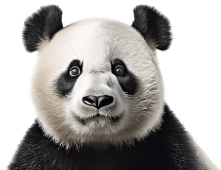 Panda with . png