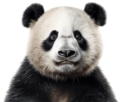 Panda with . png