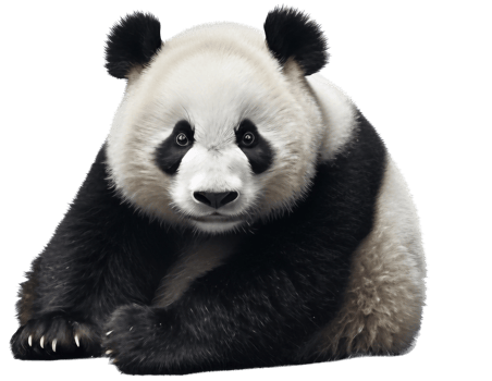 Panda with . png