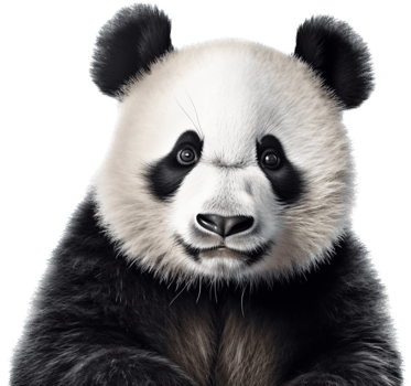 Panda with . png