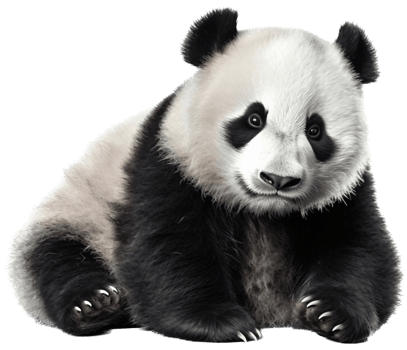 Panda with . png