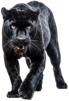 Panther with . png