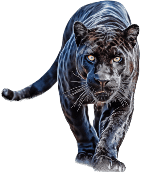 Panther with . png