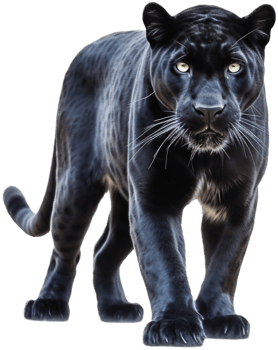 Panther with . png
